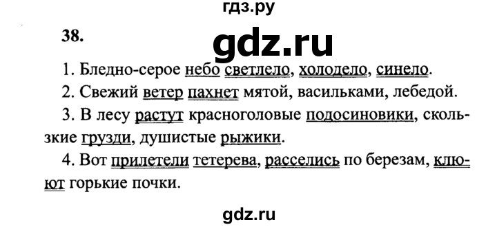 ГДЗ по русскому языку 4 класс  Канакина   часть 1 / упражнение - 38, Решебник №3 к учебнику 2014