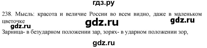 ГДЗ по русскому языку 6 класс  Ладыженская   упражнение - 238, Решебник №1 к учебнику 2022