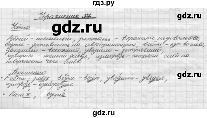 ГДЗ по русскому языку 5 класс  Бунеев   упражнение - 37, Решебник