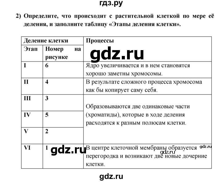 ГДЗ по биологии 5 класс  Пасечник рабочая тетрадь  урок 12 - 1, Решебник №1