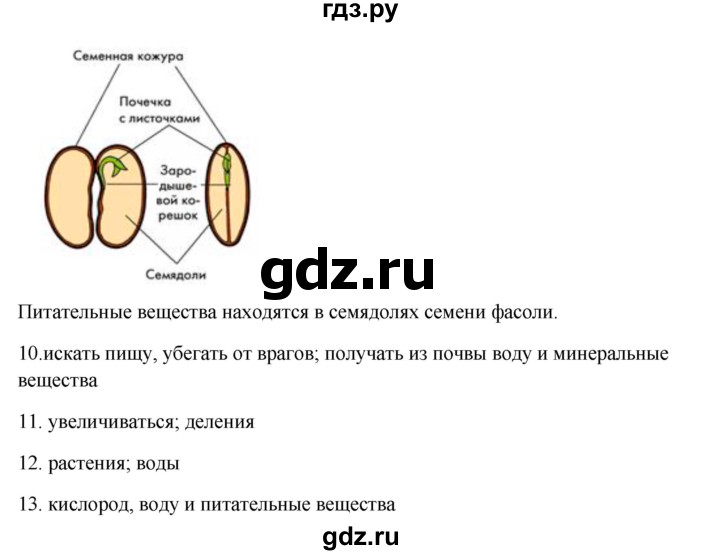 ГДЗ по биологии 5 класс  Сухова   параграф - 31, Решебник №1