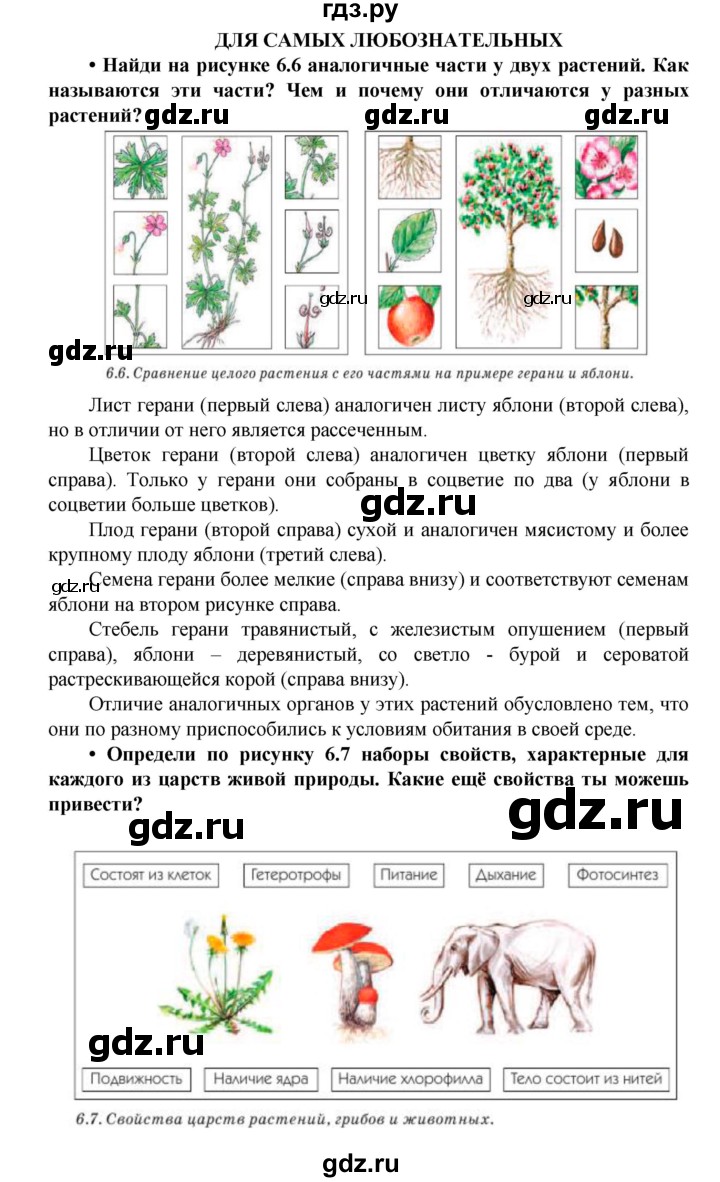 ГДЗ по биологии 5 класс Ловягин   параграф - § 6, Решебник №1