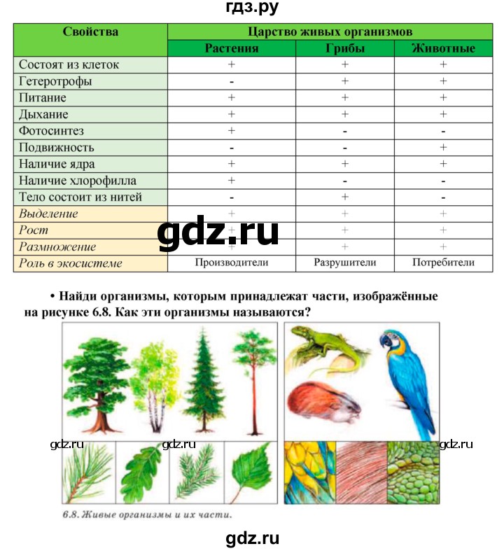 ГДЗ по биологии 5 класс Ловягин   параграф - § 6, Решебник №1