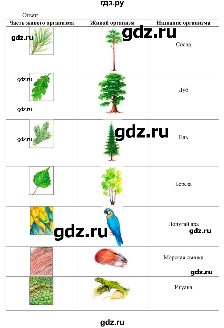 ГДЗ по биологии 5 класс Ловягин   параграф - § 6, Решебник №1