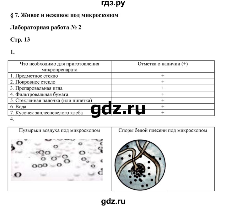 ГДЗ по биологии 5 класс Сухова рабочая тетрадь  страница - 13, Решебник №1