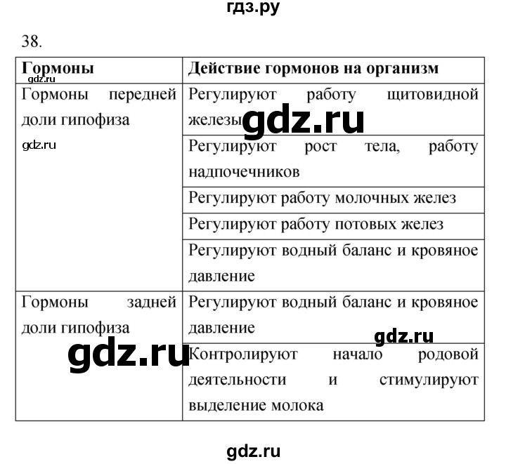 ГДЗ по биологии 8 класс Сонин рабочая тетрадь Человек  номер - 38, Решебник к тетради 2019