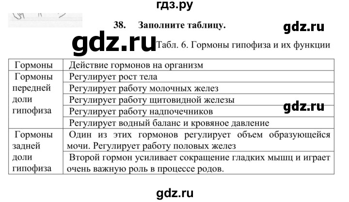 ГДЗ по биологии 8 класс Сонин рабочая тетрадь Человек  номер - 38, Решебник к тетради 2014
