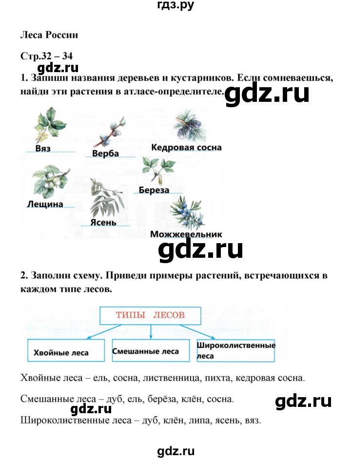 ГДЗ по окружающему миру 4 класс  Тихомирова тетрадь для практических работ с дневником наблюдения (Плешаков)  часть 1 (тема) - Леса России, Решебник