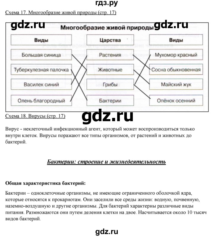 ГДЗ по биологии 5 класс Бодрова рабочая тетрадь Введение в биологию  страница - 17, Решебник