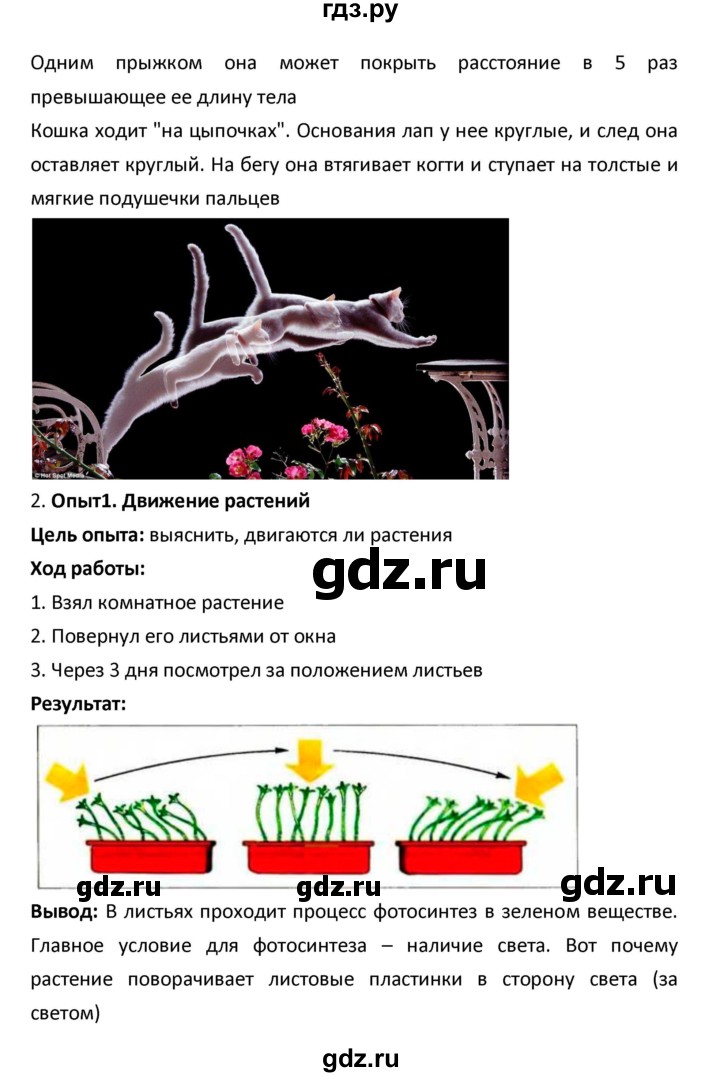 ГДЗ по биологии 5‐6 класс Сухова рабочая тетрадь  параграф - 25, Решебник №1