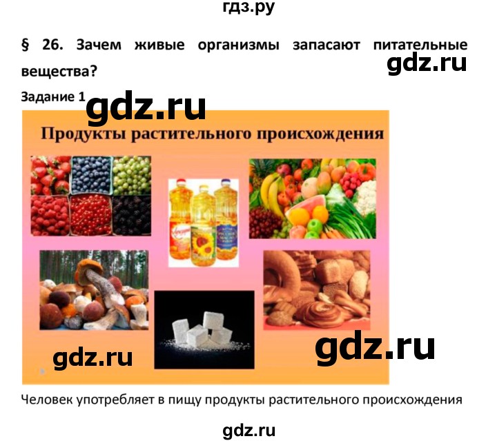 ГДЗ по биологии 5‐6 класс Сухова рабочая тетрадь  параграф - 26, Решебник №1
