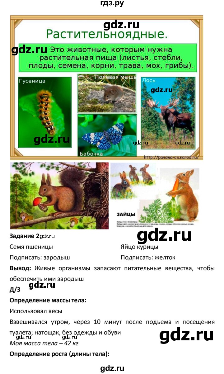 ГДЗ по биологии 5‐6 класс Сухова рабочая тетрадь  параграф - 26, Решебник №1