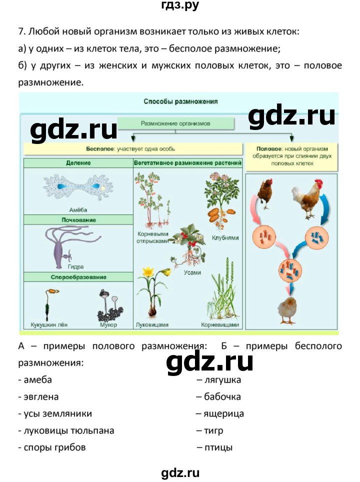 ГДЗ по биологии 5‐6 класс Сухова рабочая тетрадь  параграф - 28, Решебник №1