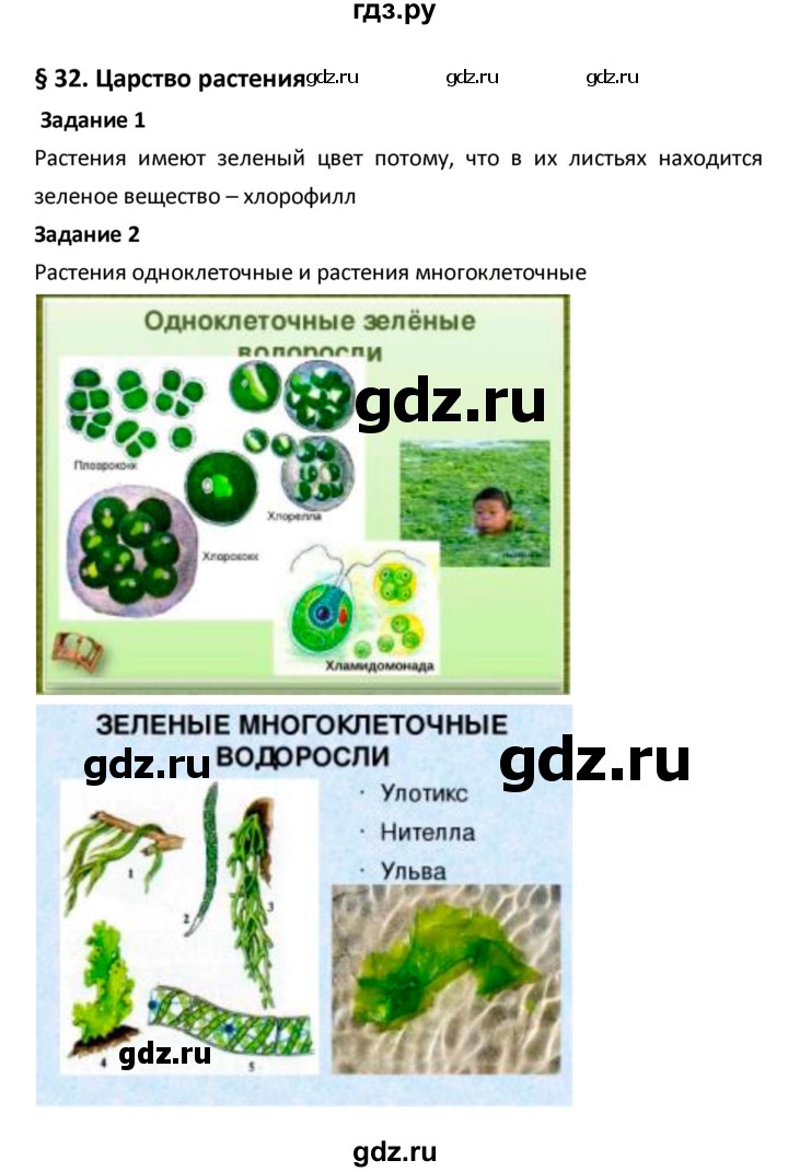 ГДЗ по биологии 5‐6 класс Сухова рабочая тетрадь  параграф - 32, Решебник №1