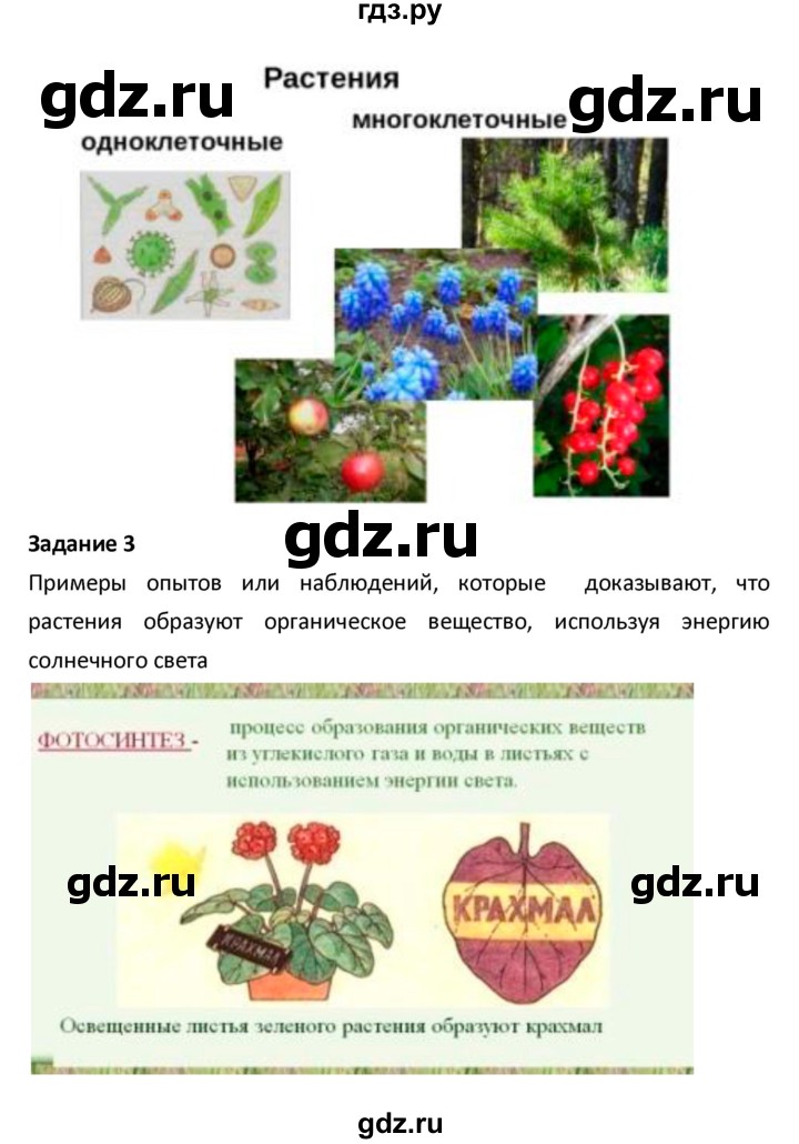 ГДЗ по биологии 5‐6 класс Сухова рабочая тетрадь  параграф - 32, Решебник №1