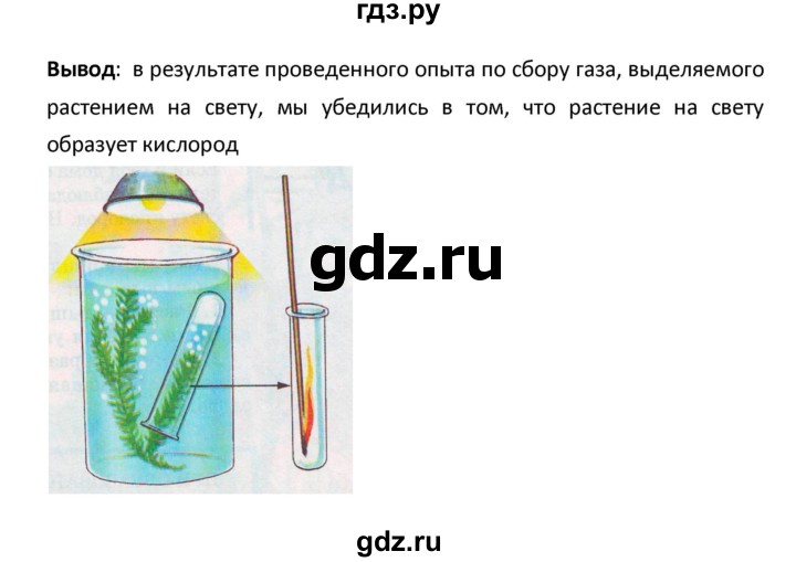 ГДЗ по биологии 5‐6 класс Сухова рабочая тетрадь  параграф - 32, Решебник №1