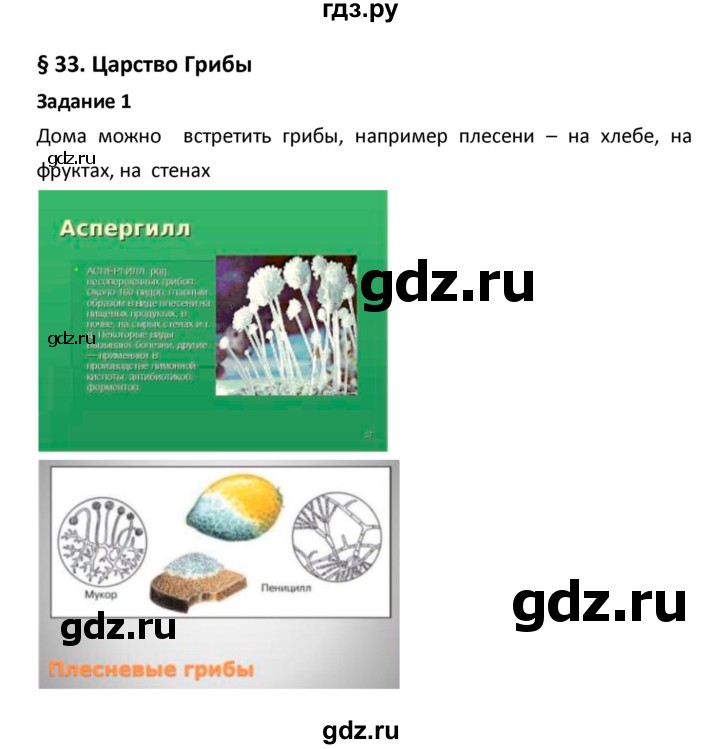 ГДЗ по биологии 5‐6 класс Сухова рабочая тетрадь  параграф - 33, Решебник №1